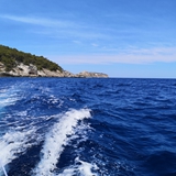 isole_tremiti_foto_072